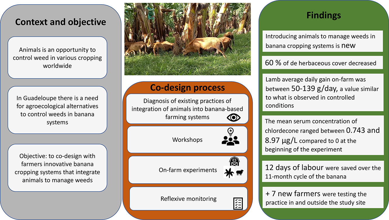 graphical abstract N andrieu